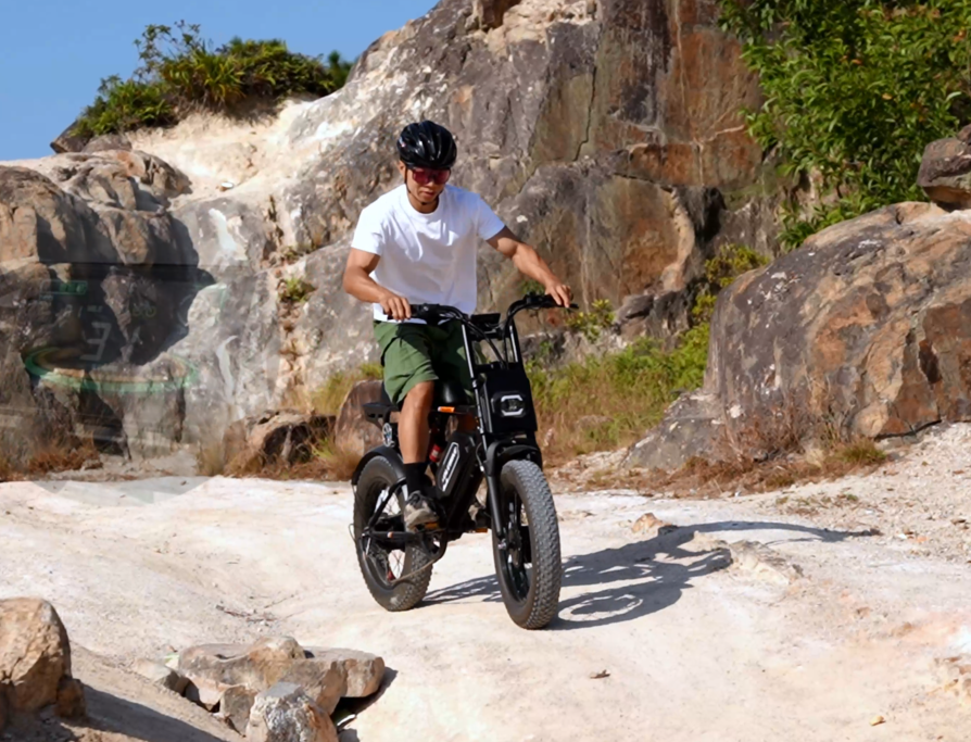 Rhino Drive Retro E-Bike