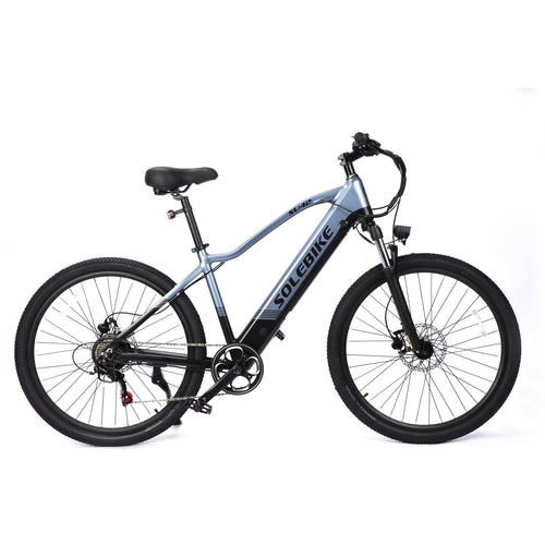 Eagle Torque Hybrid E-Bike