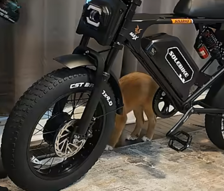 Rhino Dual drive E-bike Unboxing