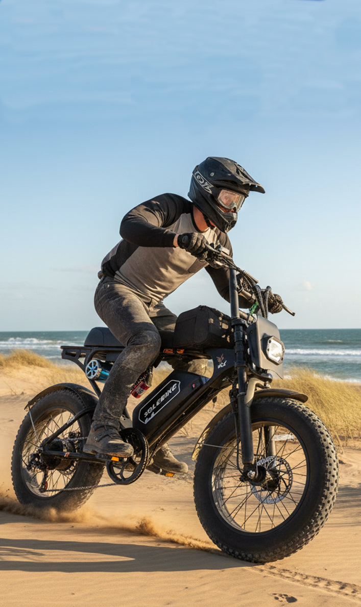 wholebikes-dual motor ebike