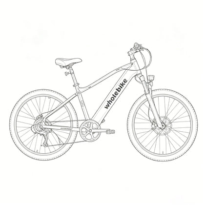 Eagle  Torque E-Bike * 1 Set