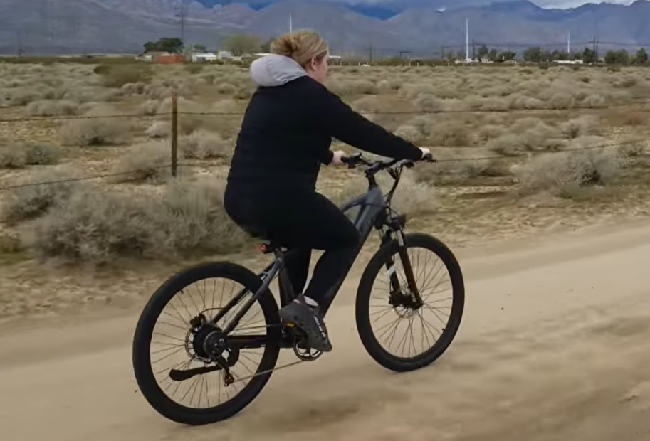 Torque Sensor Mountain  E-bike 