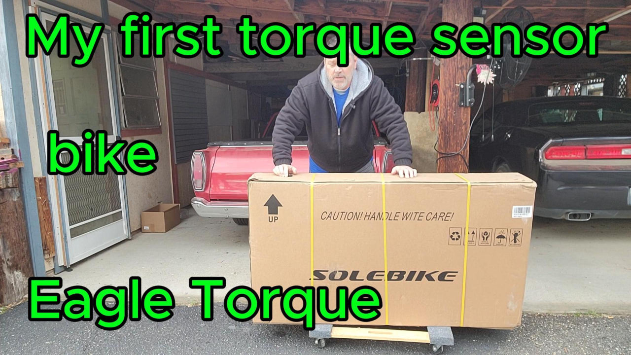 Eagle Torque MTB E-Bike Unboxing