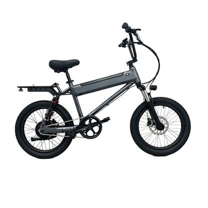 Full Suspension BMX Electric Bike  W5