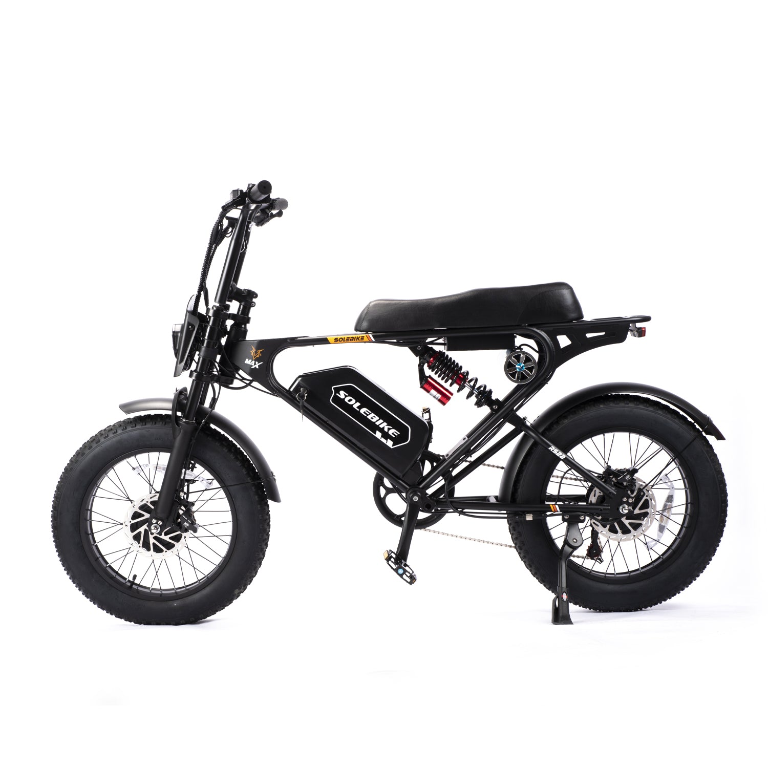 Dual motor E-bike 3600W 30 AH 