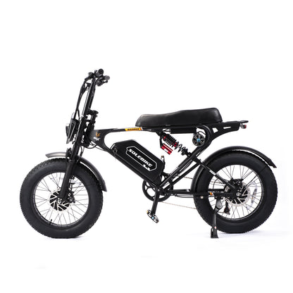 Dual motor E-bike 3600W 30 AH 